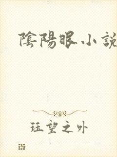 阴阳眼小说封面