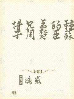 借兄弟的种生孩子周楚臣苏糖