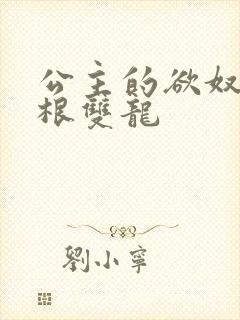 公主的欲奴h四根双龙