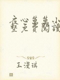 夜心万万小说完整免费阅读全文