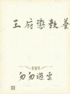 王府惩教养日常