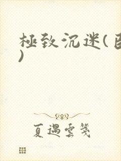 极致沉迷(臣年)封面