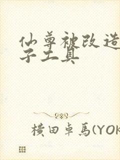仙尊被改造成产子工具
