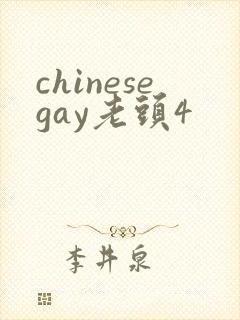 chinesegay老头4