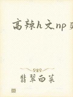 高辣h文np爽