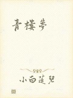 青楼梦封面