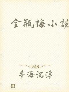金瓶梅小说下载封面