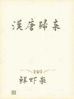 汉唐归来