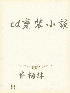 cd变装小说