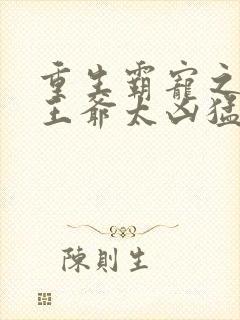 重生霸宠之摄政王爷太凶猛