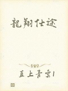 龙翔仕途