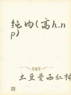纯肉(高h.np)