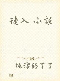 后入 小说封面