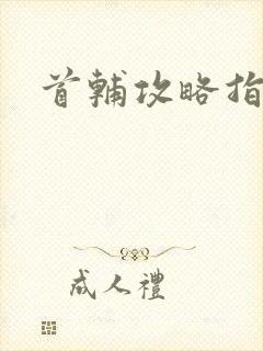 首辅攻略指南