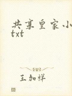 共享皇家小公主txt