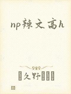 np辣文高h
