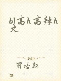 bl高h高辣h文封面