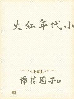 火红年代小说