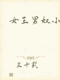 女王男奴小说