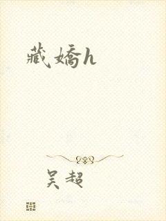 藏娇h