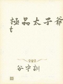 极品太子爷txt封面