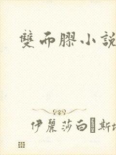 双面胶小说封面