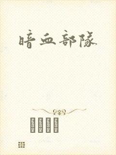 暗血部队封面