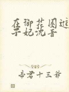在御花园进入太子妃沈音