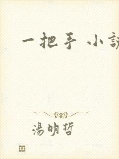 一把手 小说封面
