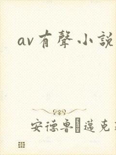av有声小说封面