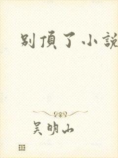 别顶了小说