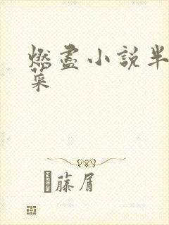 燃尽小说半截白菜