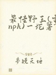 最佳野王(电竞nph)一坨薯饼