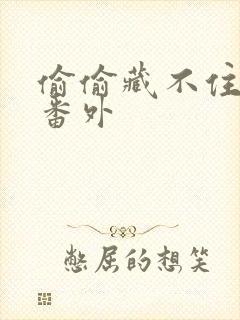 偷偷藏不住新婚番外