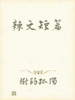 辣文短篇封面