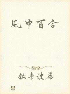 风中百合封面