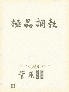极品调教