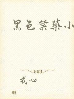 黑色禁药小说