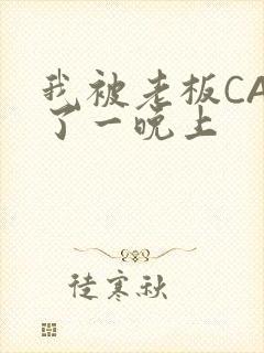 我被老板CAO了一晚上