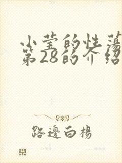 小莹的性荡生活第28的介绍