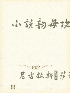 小说韵母攻略