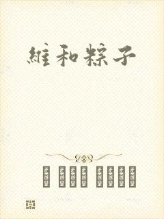 维和粽子封面
