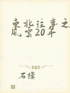 东北往事之黑道风云20年封面