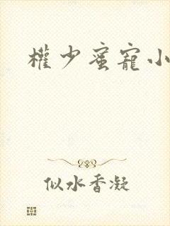 权少蜜宠小娇妻封面