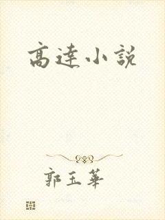 高达小说封面