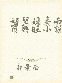 好儿媳秦雨罗明罗兴旺小说