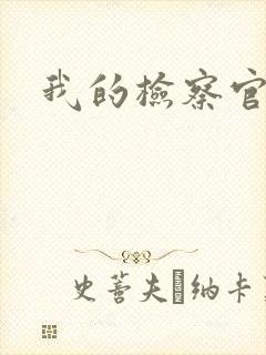 我的检察官先生封面