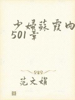 少妇苏霞肉欲第501章