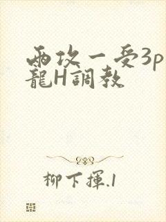两攻一受3p双龙H调教