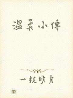 温柔小传封面